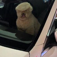 ニッコリ嬉しそう