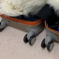 荷造り