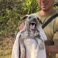 一生懸命唸って威嚇していた