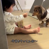 「ハイ、どう…」