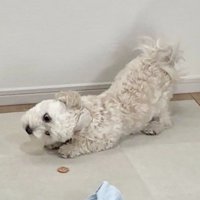 睨みをきかせてる…！！