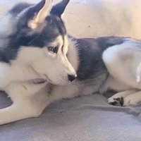 あれ？いなくなっちゃった…