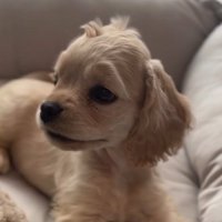 横を向くパルちゃん
