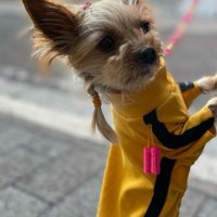 三つ編みで女の子らしく♡