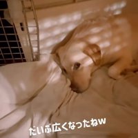 男の子がいなくなって広々したクレート