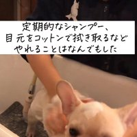 試行錯誤するも…