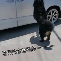 思い切り助走をつけて…