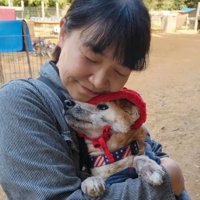 抱きしめられる老犬