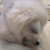 勢いがつきすぎて…