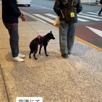 娘さんが目の前を通過