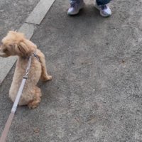 子供たちが一緒だと…