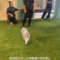先生達に駆け寄る小型犬