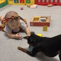 完全に現行犯