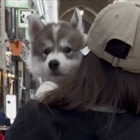 生後2ヶ月