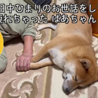 手を繋いでねんね…♡