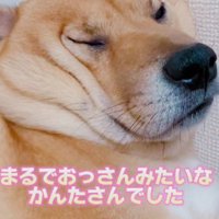 おじさんみたい！？