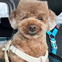 とっても魅力的です♡