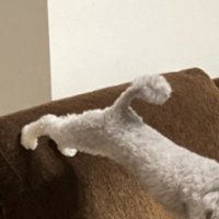 足