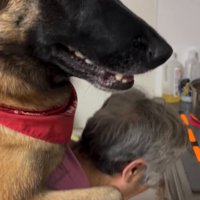笑顔の大型犬