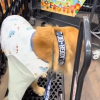 振り返るならちゃん