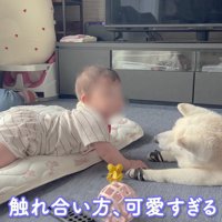 穏やかで優しい時間