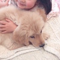 LUKE くんと末っ子ちゃんの成長記録