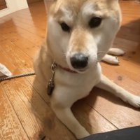 「おやつ」と聞いて起き上がっては…