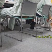 なでなでを催促♡