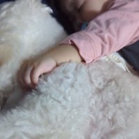 赤ちゃんに抱きしめられて眠る犬