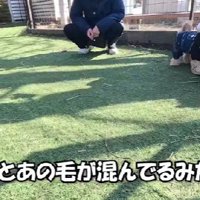 毛量が多くて…