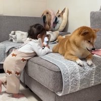 チャレンジする姿にホッコリ