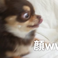ビビりまくり！（笑）