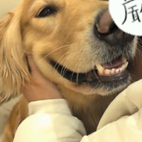 まるちゃんとママさんの再会⑩