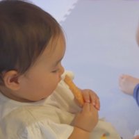 犬用おやつを見つめる赤ちゃん