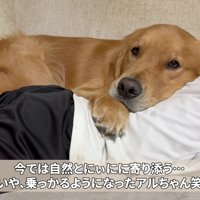 すっかりよき相棒に♡