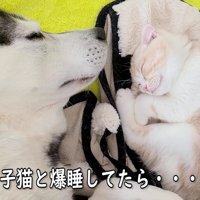 はっちゃんとじゅんちゃん