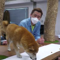 「このプランでいこう！！」