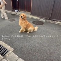「あれは絶対お兄ちゃん！」