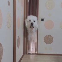 「ちょっといいかな…」