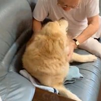 見つめ合うふたり