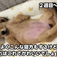 貫禄が見え隠れ！？