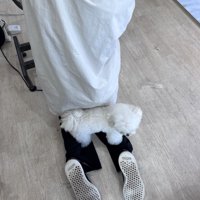 特等席