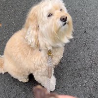 べつに