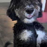 フランくんとママさんの再会⑩