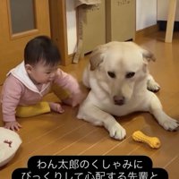 「だいじょうぶ？」