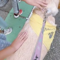 みんなの人気者