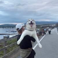 大型犬を抱っこする男性