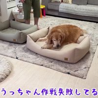 あえなく作戦失敗！！