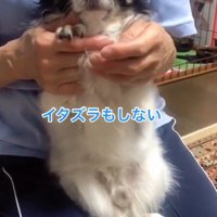 ちーちゃんとの出会い9