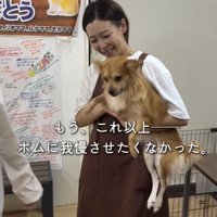 人に抱っこされている犬